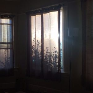 美女自我安慰高清视频
